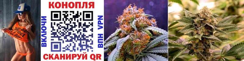 где можно купить   Павловская  Шишки марихуана Amnesia 